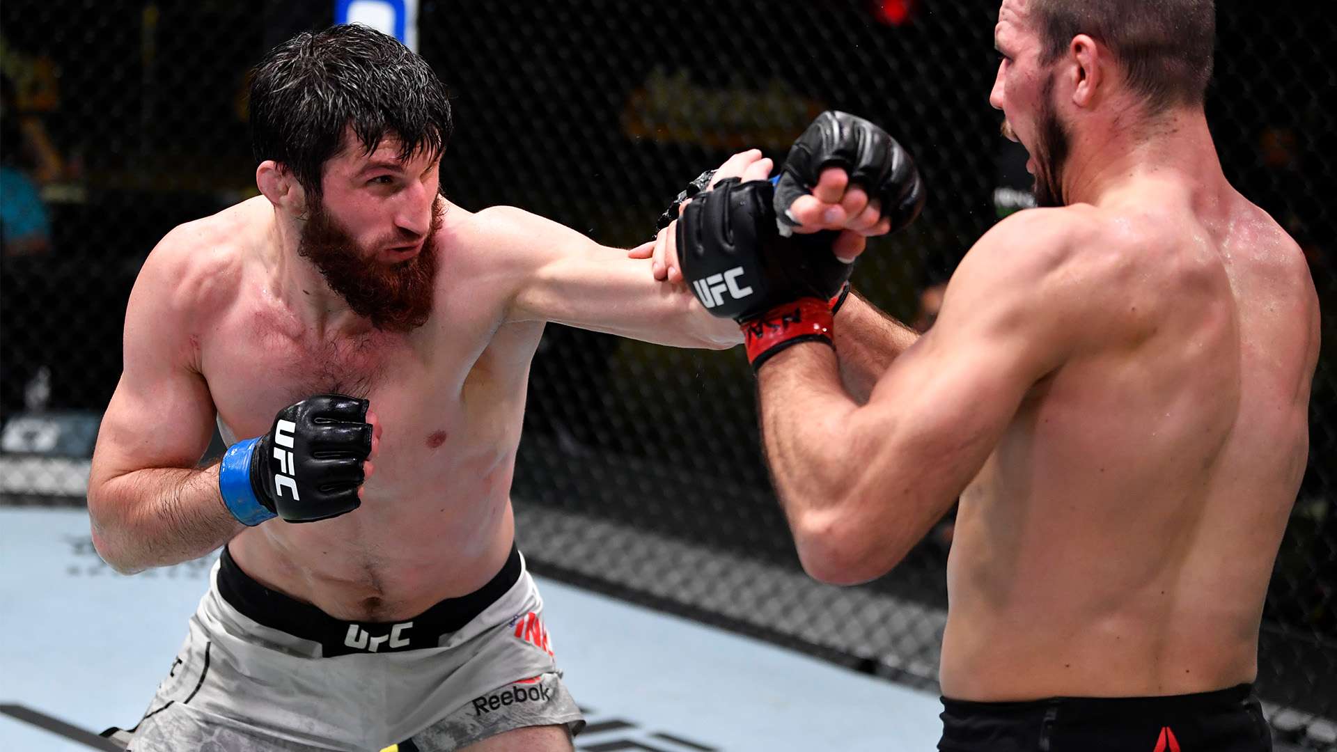 库拉则向全 库拉则向全