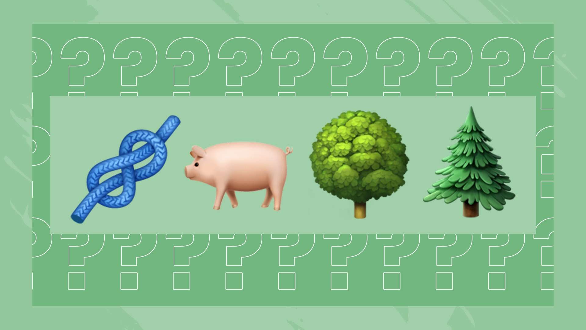 未来的后防 未来的后防