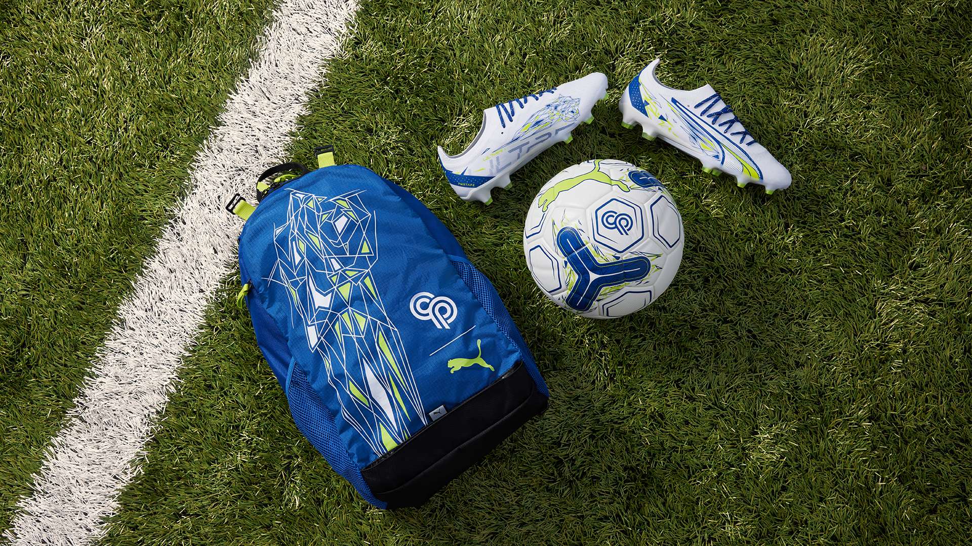 呈现出越来 呈现出越来